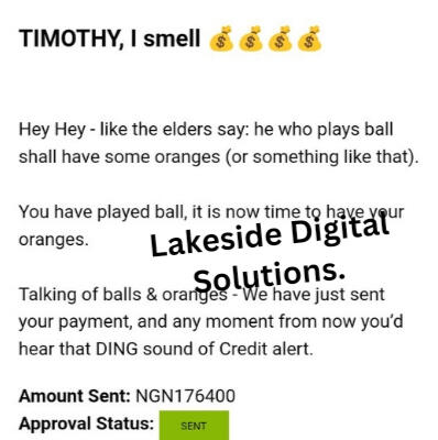The untold secrets I used to make over $2k monthly working from home.